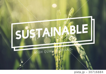 Alternative Farming Sustainable Nature Concept 30716884