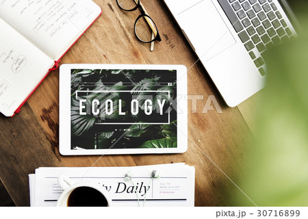 Ecology Fresh Lush Natural Nature 30716899