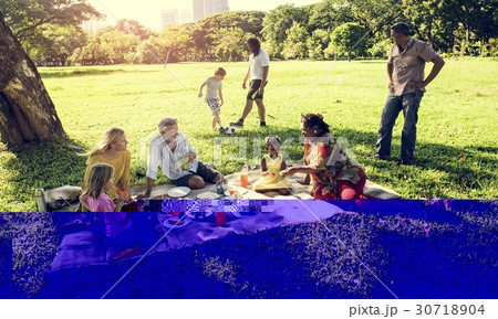 Family Picnic Outdoors Togetherness Relaxation Concept Family Picnic Outdoors Togetherness Relaxation Concept 30718904