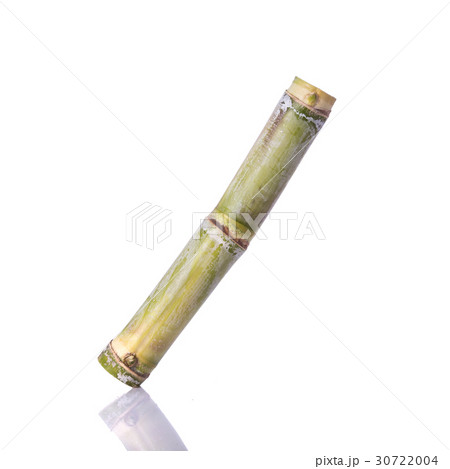 Fresh sugar cane. Studio shot isolated on white Fresh sugar cane. Studio shot isolated on white 30722004