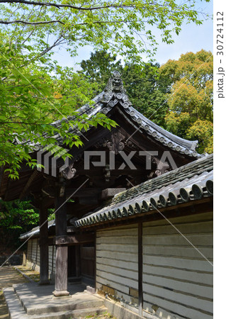 春の唐招提寺 春の唐招提寺 30724112