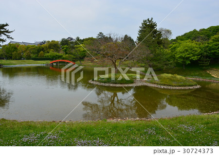 旧大乗院庭園 旧大乗院庭園 30724373