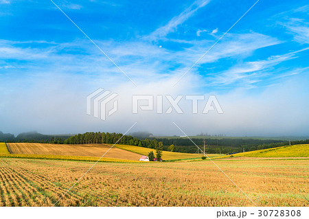 《北海道》美瑛・朝の田園風景 30728308