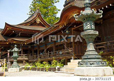 多賀大社 30731115