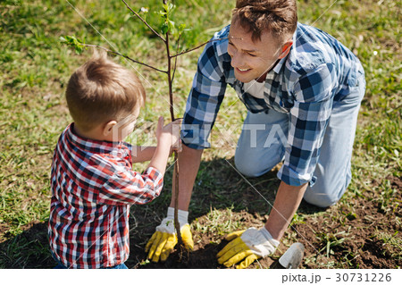 Father and son planting tree in family garden 30731226