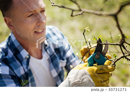 Adult man working with secateurs 30731271
