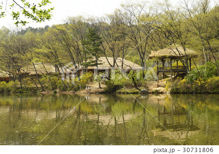 池 住宅 丸屋 30731806