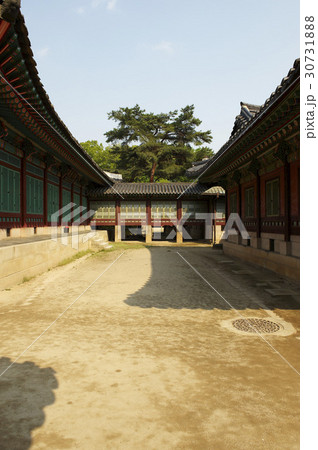 古建築 木 昌徳宮 30731888