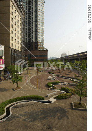 街路樹 都市 都会 30731959