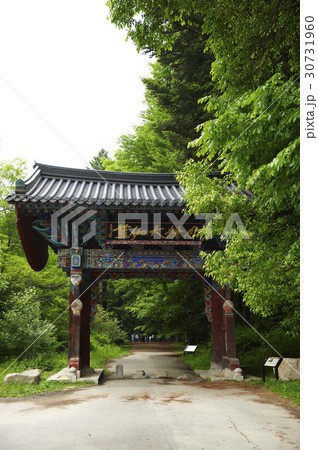 木 森 日ご注文 30731960