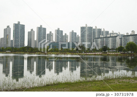 公園 木 ビル 30731978
