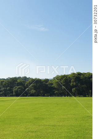 木 芝生 風景 30732201