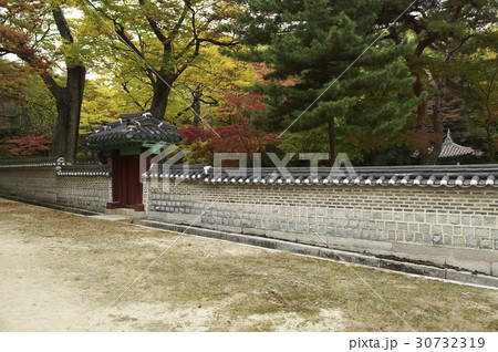 秋 季節 伝統 30732319