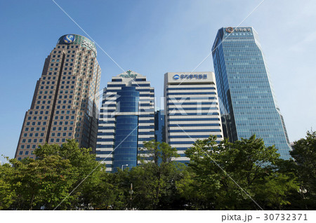 高層ビル 木 ローアングル 30732371