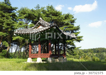 木 風景 韓国 30732375