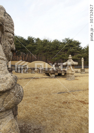 木 陵 ムンインソク 30732627