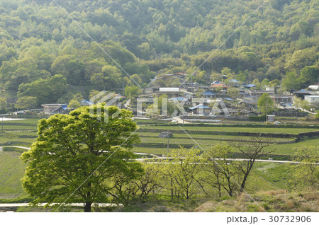 木 田畑 村 30732906