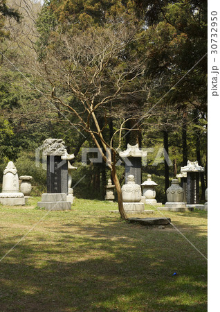 木 不渡り 仏教 30732950