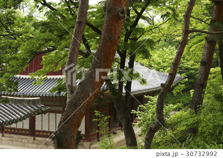 古建築 宮殿 木 30732992