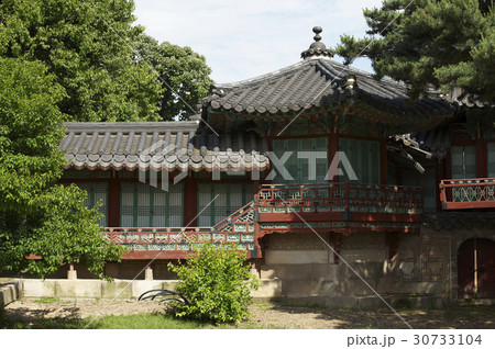 古建築 木 昌徳宮 30733104