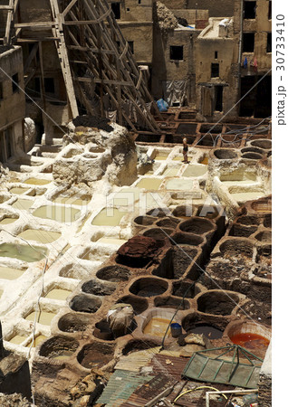 レザー モロッコの 染色 30733410