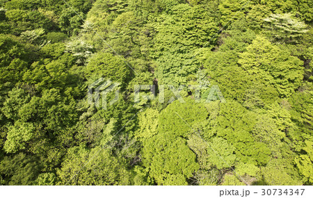 木 内蔵山 山 30734347