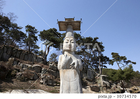 木 仏 仏教 30734570
