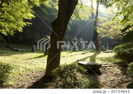 内蔵寺 不渡り 舎利 30734643