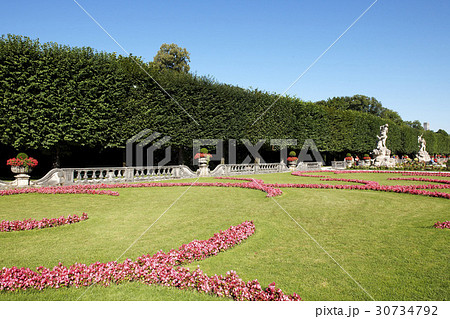花 ミラベル庭園 オーストリアの 30734792