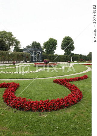 花 ウィーン スェンブルングン 30734982