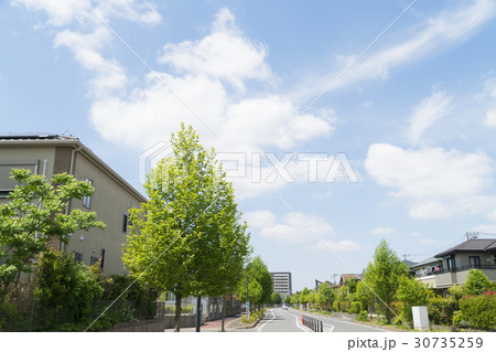 新築分譲住宅街　イメージ　爽やかな青空　新緑 30735259