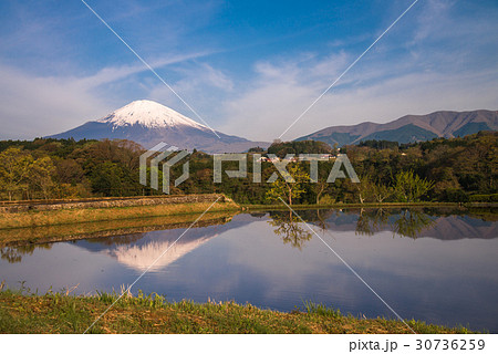 水の入った棚田と富士山 30736259