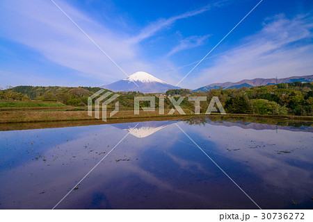 水の入った棚田と富士山 30736272