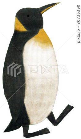 手描き ペンギンのイラスト素材
