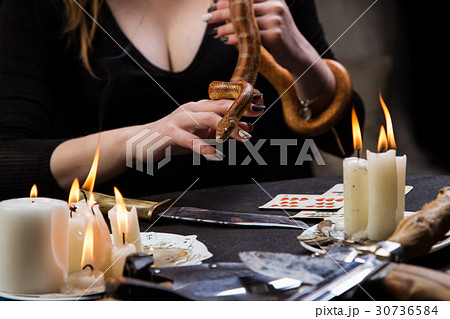 Snake helps fortune tellers to predict the future Snake helps fortune tellers to predict the future 30736584