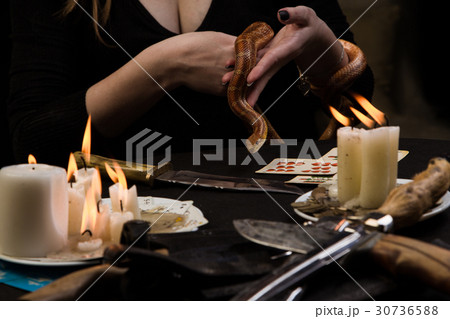 The snake helps the witch to use black magic 30736588