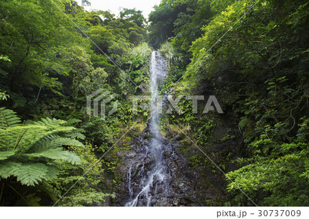 加計呂麻島　嘉入の滝 30737009