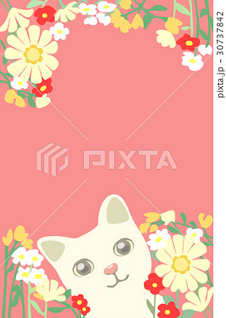 猫と花々のイラスト ポストカード 葉書サイズのイラスト素材