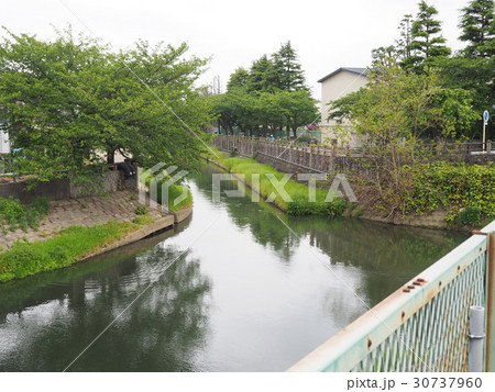 市川市の真間川と国分川 30737960