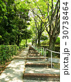 新緑の階段 30738464