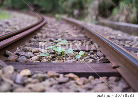 電車 列車 イベント列車 30738533