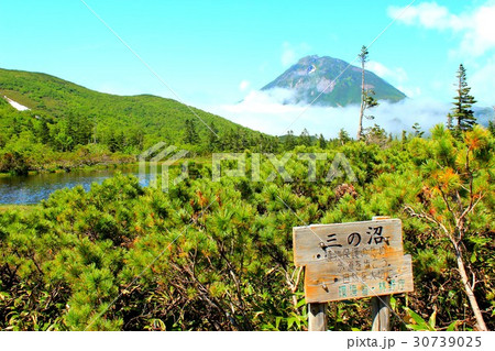 羅臼湖　三の沼 30739025
