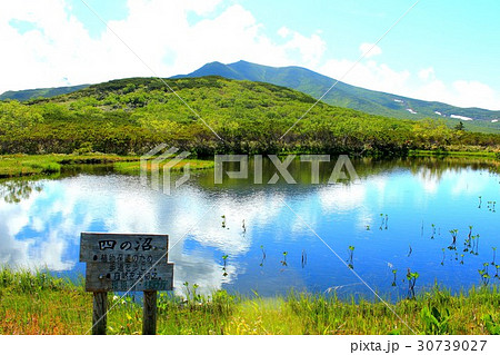 羅臼湖　四の沼 30739027
