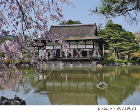 京都・平安神宮 30739031