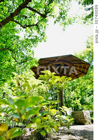 緑の庭園 緑の庭園 30740099