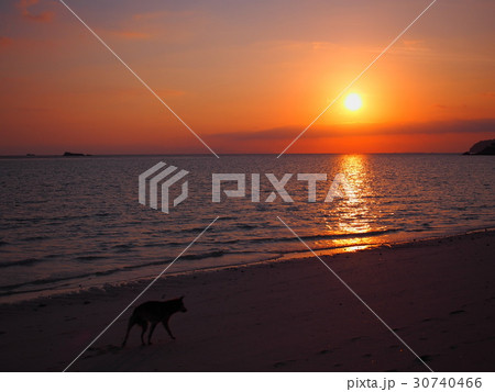 リペ島・日出帯食  / Eclipse at Sunrise from Koh Lipe 30740466
