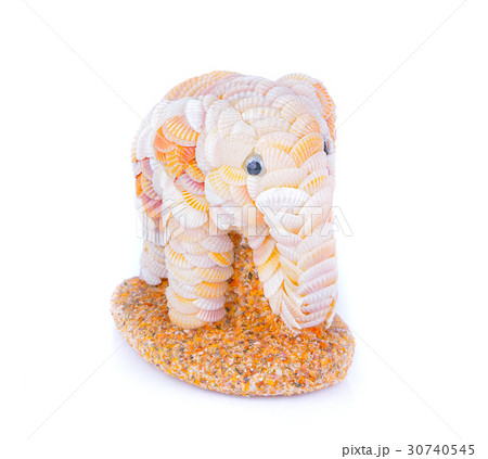 Sea shells made Elephant isolated on the white Sea shells made Elephant isolated on the white 30740545