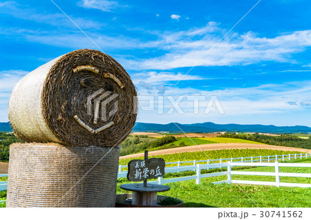 《北海道》美瑛・新栄の丘展望公園 30741562