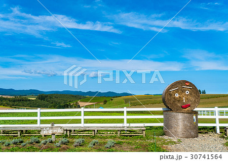 《北海道》美瑛・新栄の丘展望公園 30741564