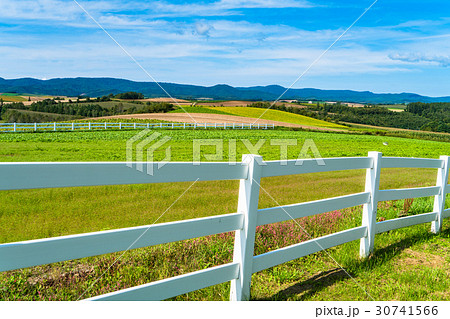 《北海道》美瑛・新栄の丘展望公園 30741566